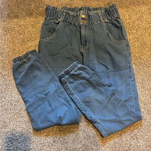 Stylish Blue Denim Joggers